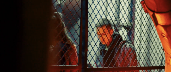 Love in the Time of Dormancy (or Transitory Illusion)
